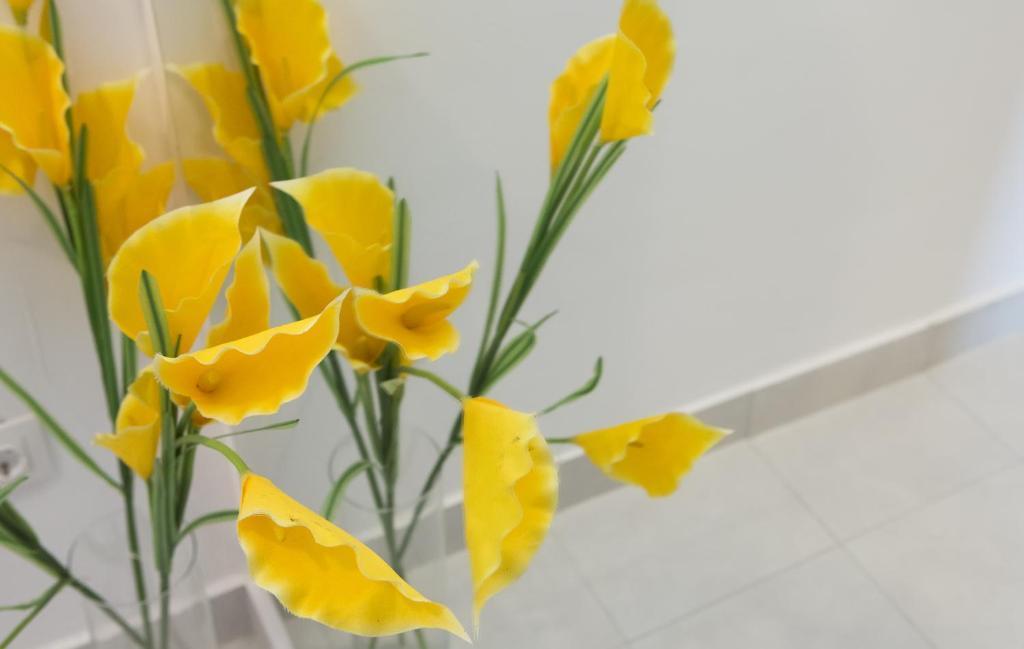 Apartmani Nika دوبروفينك الغرفة الصورة