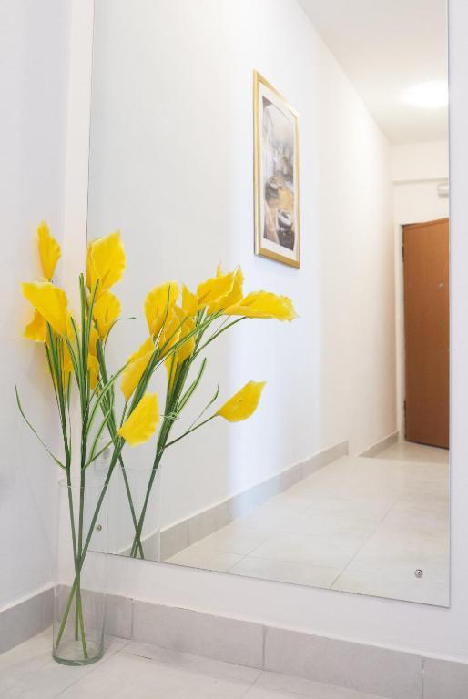 Apartmani Nika دوبروفينك الغرفة الصورة